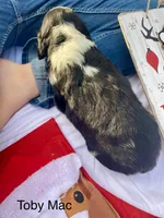 processed/b1f84a0d-7fe3-45c5-a0cf-6d7c982671fc/listing/98eb58b4-ae8c-4ed4-8cb7-07071355eef7/ef89ad85-441e-48d4-a196-dd5038ce46e4