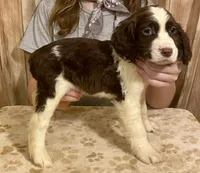 processed/b1f84a0d-7fe3-45c5-a0cf-6d7c982671fc/listing/a8af82f0-b6c2-4643-a0b9-b6fc6bd5e57a/1e7d7592-e75f-4aae-87af-fd68e93924a7