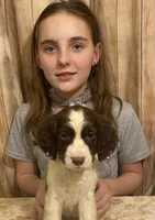 processed/b1f84a0d-7fe3-45c5-a0cf-6d7c982671fc/listing/a8af82f0-b6c2-4643-a0b9-b6fc6bd5e57a/27531f93-314c-4d56-8a43-1495fd80309f