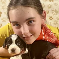 Abundala Joy, a female English Springer Spaniel for sale in Henderson, TX – 4 of 9