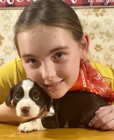 processed/b1f84a0d-7fe3-45c5-a0cf-6d7c982671fc/listing/a8af82f0-b6c2-4643-a0b9-b6fc6bd5e57a/2ddfa5a3-053c-4342-bac4-50de4700002e