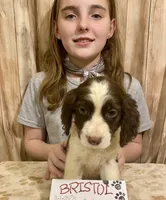 processed/b1f84a0d-7fe3-45c5-a0cf-6d7c982671fc/listing/a8af82f0-b6c2-4643-a0b9-b6fc6bd5e57a/4bd35d20-18f2-4737-8b42-3c4ef2eb33b8