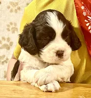 processed/b1f84a0d-7fe3-45c5-a0cf-6d7c982671fc/listing/a8af82f0-b6c2-4643-a0b9-b6fc6bd5e57a/549a6a54-5532-4ce9-9afc-7caed131ccb6