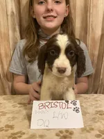 processed/b1f84a0d-7fe3-45c5-a0cf-6d7c982671fc/listing/a8af82f0-b6c2-4643-a0b9-b6fc6bd5e57a/6a15ce71-4ab5-4eca-87ad-19052c092ee0