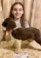 processed/b1f84a0d-7fe3-45c5-a0cf-6d7c982671fc/listing/a8af82f0-b6c2-4643-a0b9-b6fc6bd5e57a/b5903605-4dcf-4435-bceb-bf587ceafd34