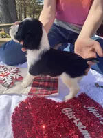 processed/b1f84a0d-7fe3-45c5-a0cf-6d7c982671fc/listing/c59f65af-5475-4cf7-ab22-969e31f448d3/72494d30-fbc8-4d58-827e-5a9a76ca3473