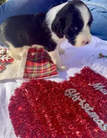 processed/b1f84a0d-7fe3-45c5-a0cf-6d7c982671fc/listing/c59f65af-5475-4cf7-ab22-969e31f448d3/8a39133a-ebce-4fda-bda0-8356e7f93511