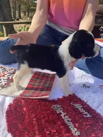 processed/b1f84a0d-7fe3-45c5-a0cf-6d7c982671fc/listing/c59f65af-5475-4cf7-ab22-969e31f448d3/a3a7347c-8acf-49f0-8fcd-bc188977fcd1