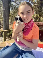 processed/b1f84a0d-7fe3-45c5-a0cf-6d7c982671fc/listing/c59f65af-5475-4cf7-ab22-969e31f448d3/b3a361fe-cfce-4d89-b4c9-35be8d4a6569