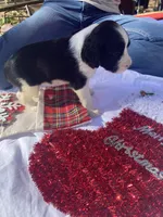 processed/b1f84a0d-7fe3-45c5-a0cf-6d7c982671fc/listing/c59f65af-5475-4cf7-ab22-969e31f448d3/bdb202c1-e85b-4573-bb83-04ba8e3acc7c