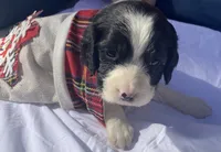 processed/b1f84a0d-7fe3-45c5-a0cf-6d7c982671fc/listing/c59f65af-5475-4cf7-ab22-969e31f448d3/f9ec0a9d-763f-4bc8-a229-4011107dedd1