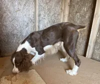 processed/b1f84a0d-7fe3-45c5-a0cf-6d7c982671fc/listing/e2b8211f-cc46-4c50-8440-17cac502eb9e/64beddbc-3cff-441f-808a-22032cdd4c07