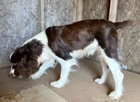 processed/b1f84a0d-7fe3-45c5-a0cf-6d7c982671fc/listing/e2b8211f-cc46-4c50-8440-17cac502eb9e/c98bac65-3d69-46a6-af71-f5b30fb937c9