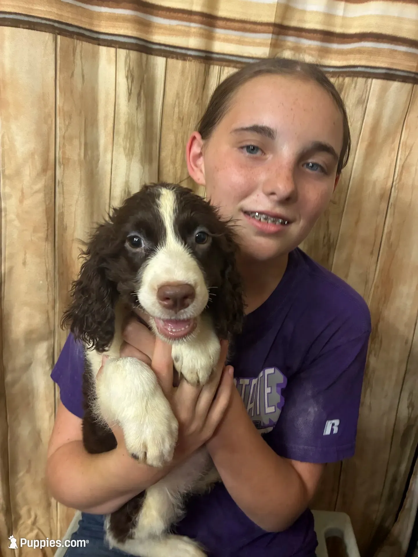 CHERAKEE , a female English Springer Spaniel for sale in Henderson, TX – 6 of 10