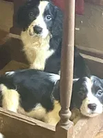 processed/b1f84a0d-7fe3-45c5-a0cf-6d7c982671fc/listing/ee031f7a-e084-4002-8359-c193cbbc6a70/0b5354dd-53c1-442b-9806-94edf352d5db