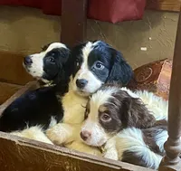 processed/b1f84a0d-7fe3-45c5-a0cf-6d7c982671fc/listing/ee031f7a-e084-4002-8359-c193cbbc6a70/3739e74e-a49a-473e-8826-a7f9a8146d8d