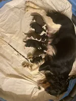 processed/b1f84a0d-7fe3-45c5-a0cf-6d7c982671fc/listing/ee031f7a-e084-4002-8359-c193cbbc6a70/3dca73fd-4ace-4439-aaeb-ee224825d9eb