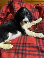 processed/b1f84a0d-7fe3-45c5-a0cf-6d7c982671fc/listing/ee031f7a-e084-4002-8359-c193cbbc6a70/8f169fc6-6862-4b6f-be87-64f554dcdb11