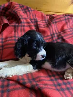 processed/b1f84a0d-7fe3-45c5-a0cf-6d7c982671fc/listing/ee031f7a-e084-4002-8359-c193cbbc6a70/ac9248c6-9a16-43e3-a78c-13408107dcd5