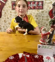 processed/b1f84a0d-7fe3-45c5-a0cf-6d7c982671fc/listing/f085eb18-7e01-4485-8dba-972553f55e53/d509ef28-cb97-467c-b43c-48dc539193f4