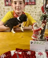 processed/b1f84a0d-7fe3-45c5-a0cf-6d7c982671fc/listing/f085eb18-7e01-4485-8dba-972553f55e53/de0a075c-21a1-4a17-8bd0-d47d15301780