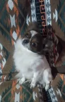 processed/b1ff4a90-5b88-4b6e-8245-f9e91775ad97/listing/f5314fb2-e88c-4cec-bda3-07afa78ce63b/9efcca74-0d7f-4aa7-8c03-f3de57ed0fdf