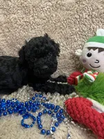 processed/b200336a-ef8e-48a9-b350-749aa749b5df/listing/29553222-2d22-45ea-bf33-e88849f48531/04c704b8-573a-4efc-9432-04119e220e55