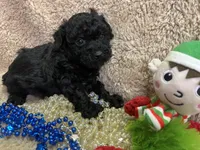 processed/b200336a-ef8e-48a9-b350-749aa749b5df/listing/29553222-2d22-45ea-bf33-e88849f48531/0caac7f0-c2de-4c62-93fb-95cd9ef9cfcd