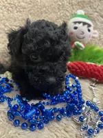 processed/b200336a-ef8e-48a9-b350-749aa749b5df/listing/29553222-2d22-45ea-bf33-e88849f48531/9ffd3202-287d-4770-8f39-34e73f5ef7e8