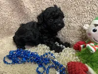 processed/b200336a-ef8e-48a9-b350-749aa749b5df/listing/29553222-2d22-45ea-bf33-e88849f48531/e7d7674b-8f72-40bb-b684-4efa73ae4e9c