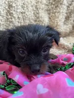 processed/b200336a-ef8e-48a9-b350-749aa749b5df/listing/469ed2c4-7c6c-48d4-879e-0cba2797ae62/a1288b24-15cf-4dbb-a0ac-c290815d0b0c