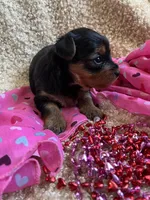 processed/b200336a-ef8e-48a9-b350-749aa749b5df/listing/72afa42d-6cb7-4212-8cb4-b4998c719a35/db9ff9b6-5d0f-47c8-8d94-0513234098ba