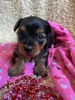 processed/b200336a-ef8e-48a9-b350-749aa749b5df/listing/72afa42d-6cb7-4212-8cb4-b4998c719a35/f172e0fa-4e5f-4ab6-abe7-474953ff6739