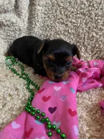 processed/b200336a-ef8e-48a9-b350-749aa749b5df/listing/d8577b15-875e-48c1-a467-03fad706cf03/2a0751fa-721e-45b9-9355-df730111e048