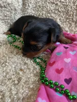 processed/b200336a-ef8e-48a9-b350-749aa749b5df/listing/d8577b15-875e-48c1-a467-03fad706cf03/e934f7c8-4d71-4900-8db8-0b5dbebc876a