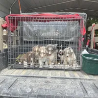 processed/b2056d9b-a89a-4866-ae2c-465048ec6721/facility/02921868-5a89-4bb8-9491-a75c449b8a89