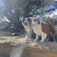 processed/b2056d9b-a89a-4866-ae2c-465048ec6721/facility/24fc035a-ee49-4212-93b6-95f7467a7a9a