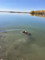 processed/b2056d9b-a89a-4866-ae2c-465048ec6721/facility/36dd29c8-bfbe-45e0-921f-e88ff3902c5a