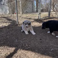 processed/b2056d9b-a89a-4866-ae2c-465048ec6721/facility/4f71d1a4-0153-42f4-902f-a429db1ad91d