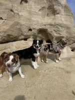 processed/b2056d9b-a89a-4866-ae2c-465048ec6721/facility/6fb06936-77bc-47e2-9718-fe4337f3f46d