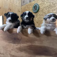 processed/b2056d9b-a89a-4866-ae2c-465048ec6721/facility/7584d24d-8dd1-40f5-bebc-86a9f388ba0c