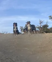 processed/b2056d9b-a89a-4866-ae2c-465048ec6721/facility/7cee24b8-8bbd-43df-9f61-2c4152bd444b