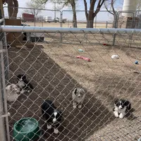 processed/b2056d9b-a89a-4866-ae2c-465048ec6721/facility/84acca23-2a8f-498e-ad33-e6e504c9d4c1