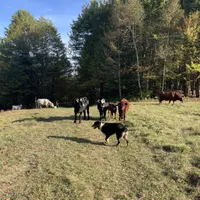 processed/b2056d9b-a89a-4866-ae2c-465048ec6721/facility/a629b97d-0abc-42b9-9984-13f0a79e34f9