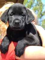 processed/b210d83b-9342-468c-a17b-08c8ea573133/facility/090a0d3a-b31a-4414-b2b1-ed42360dacd8