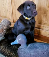 processed/b210d83b-9342-468c-a17b-08c8ea573133/facility/6754517b-eda2-449c-ba6d-f13843d956f6