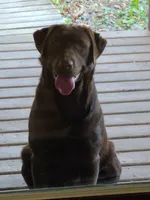 processed/b210d83b-9342-468c-a17b-08c8ea573133/facility/68e72c6d-cd3f-45e8-8177-20d5d2fd122e