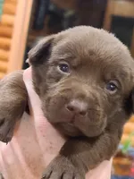 processed/b210d83b-9342-468c-a17b-08c8ea573133/facility/7dd6f476-58b0-4b11-bb5a-cc047f44f689