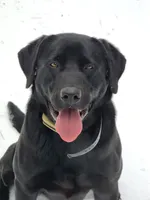 processed/b210d83b-9342-468c-a17b-08c8ea573133/facility/96b4d51d-463e-4059-bd09-1c92963316aa