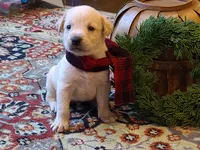 processed/b210d83b-9342-468c-a17b-08c8ea573133/facility/9b2fdef2-dcc2-41ed-a84f-4b3841fe5e01